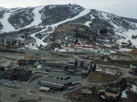 Hotel Photo: Nice apartment in heart of Geilo