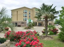 Holiday Inn Montgomery South Airport by IHG
