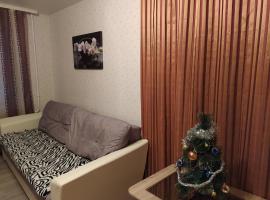 Hotel Photo: Уютное гнёздышко на Бонч-бруевича 4