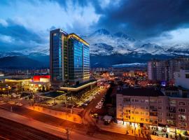 מלון צילום: Radisson Blu Hotel, Kayseri