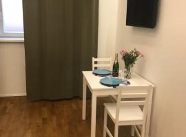 酒店照片: Family Apartmens Zizkov 2kk