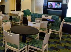 快捷假日酒店及套房蘭辛- 迪蒙代爾