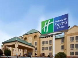 Holiday Inn Express Hotel & Suites Fenton/I-44 by IHG