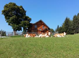 A picture of the hotel: Ferienhaus Bichlhütte