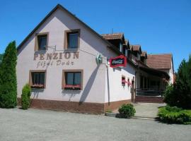 Photo de l’hôtel: Penzion Jižní Dvůr Pištín