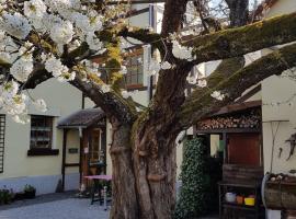 Hotel foto: Ferienwohnung Zum-alten-Kirschbaum