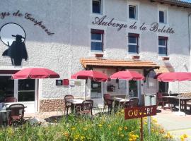 A picture of the hotel: Auberge de la belette