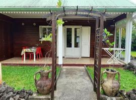 होटल की एक तस्वीर: Maison de 2 chambres avec jardin amenage et wifi a Saint Benoit