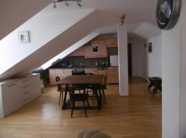A picture of the hotel: Appartements Donaublick