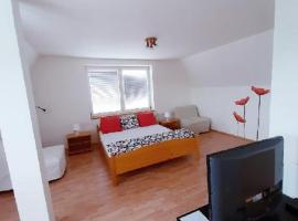 A picture of the hotel: Apartment Patera