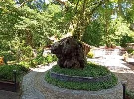 Семеен Хотел Хайдутите