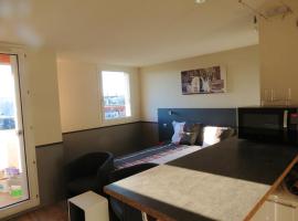 酒店照片: Studio in Toulouse with wonderful city view furnished balcony and WiFi