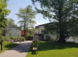 Le Domaine (Swiss Lodge)