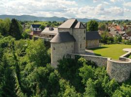Foto di Hotel: Vinica Castle