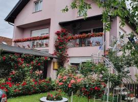 A picture of the hotel: Apartman Vesna