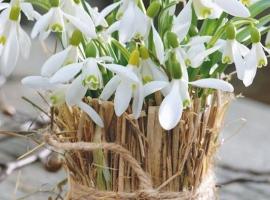 Sadyba Domashniy zatyshok, ξενοδοχείο σε Pilipets