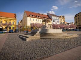 Hotel Česká Koruna, hotel i Děčín