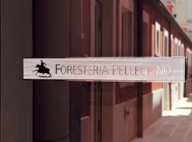 Foresteria Pellegrino