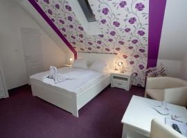 Hotel kuvat: Wellness penzion Harmonie Rohanov