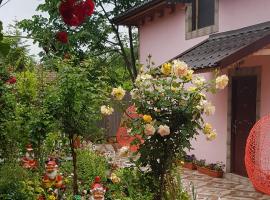 A picture of the hotel: Pensiunea Happy Flowers