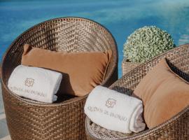 Quinta Do Padrao, hotel in Penafiel