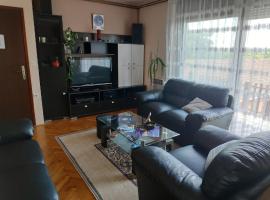 A picture of the hotel: Apartment Viktorija