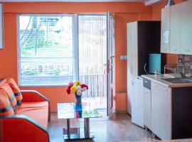 Danailovi Guest House, Hotel in Saparewa Banja