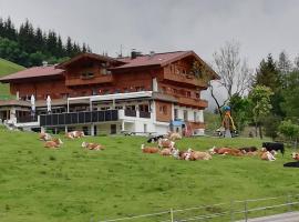 Berghaus Koglmoos, Hotel in Auffach