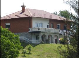 Foto di Hotel: Family apartman Vinica