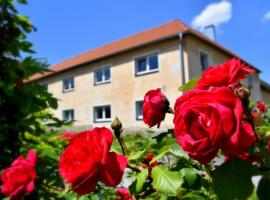 Hotel Foto: PENSION NA BORŮVKOVÉM VRŠKU