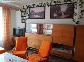 Fotos de Hotel: Retro byt západní Čechy - Bukovany