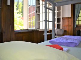 Hotel fotoğraf: Gotthard Backpacker