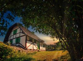 A picture of the hotel: Etno Village Cardaci