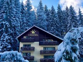 Boutique Hotel Casa Emil, hotel v destinaci Poiana Brašov