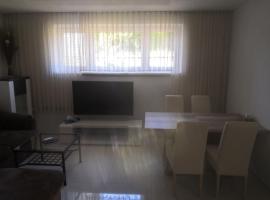 A picture of the hotel: apartmán Domažlice 654