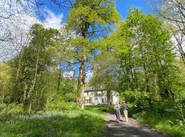 Blackhill Woods Retreat, Hotel in Abbeyleix