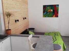 Hotel Photo: Studio apartman Fleiss