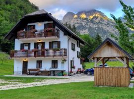 Hotel fotoğraf: Apartments and rooms Kravanja