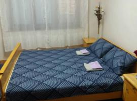Vladone, hotel in Vršac