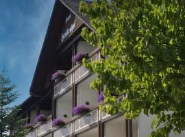 Landhotel Henkenhof Willingen
