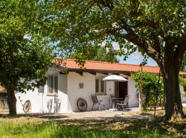 Hotel Photo: La Casina Nel Frutteto Holiday House