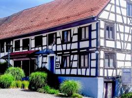 Hotel Photo: Nice Home In Gottmadingen With Wifi