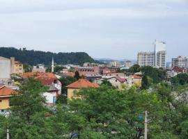 Hotel fotografie: Apartmani u Tuzli u centru grada