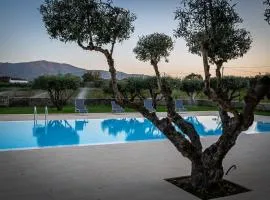 Quinta das Oliveiras Turismo Rural