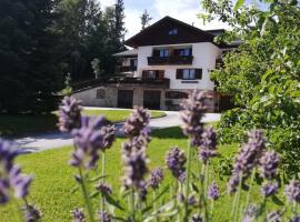 Foto di Hotel: Frühstückspension Zanschbach