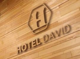 A picture of the hotel: David Hostel&Hotel