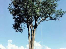 Mari Pai Resort, hotel in Pai