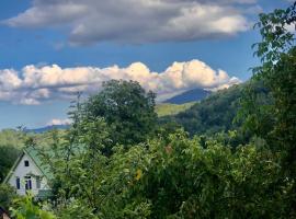 A picture of the hotel: Casa Haiducilor Brasov