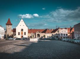 Hotel Photo: Renesanční vinařský dům v historickém centru Znojma