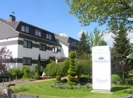 Dreispitz -B&B-Hotel Garni, hotel in Hofheim am Taunus